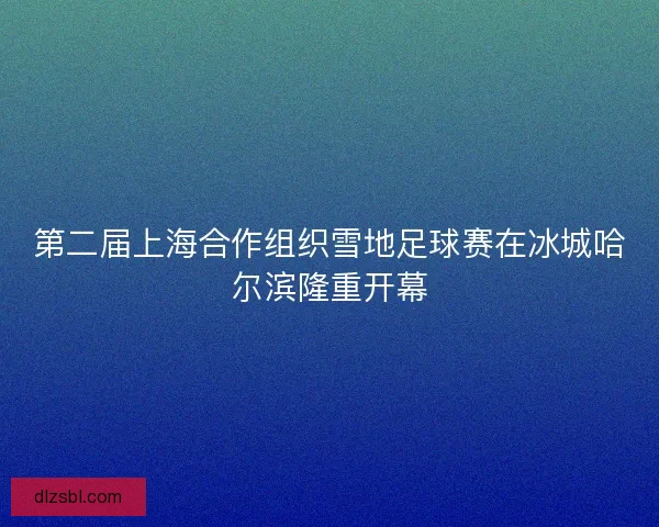第二届上海合作组织雪地足球赛在冰城哈尔滨隆重开幕